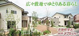 【第一期建売分譲エリア　街並写真】　緑を感じるゆったりとした素敵な街をぜひご体感ください。