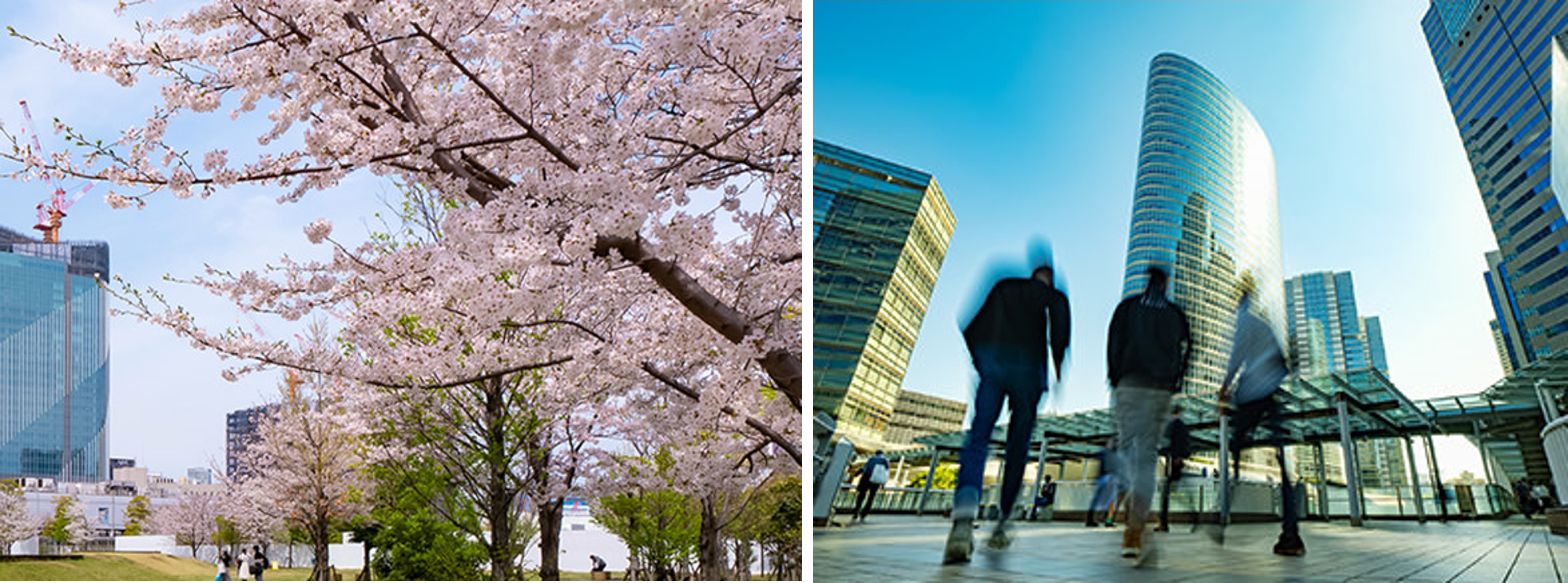 リビオタワー品川 コンセプト