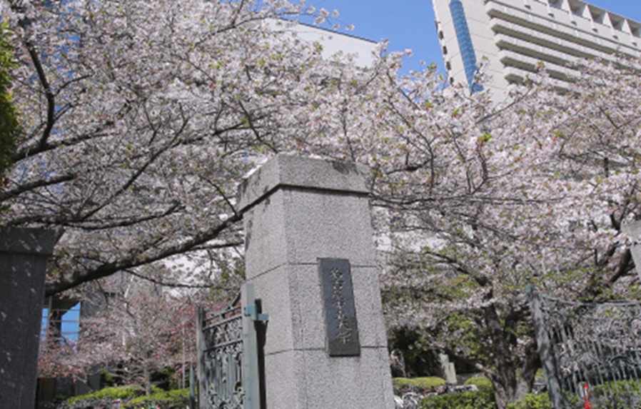 ジオ桜山グラン 静穏を纏い、利便を謳う。