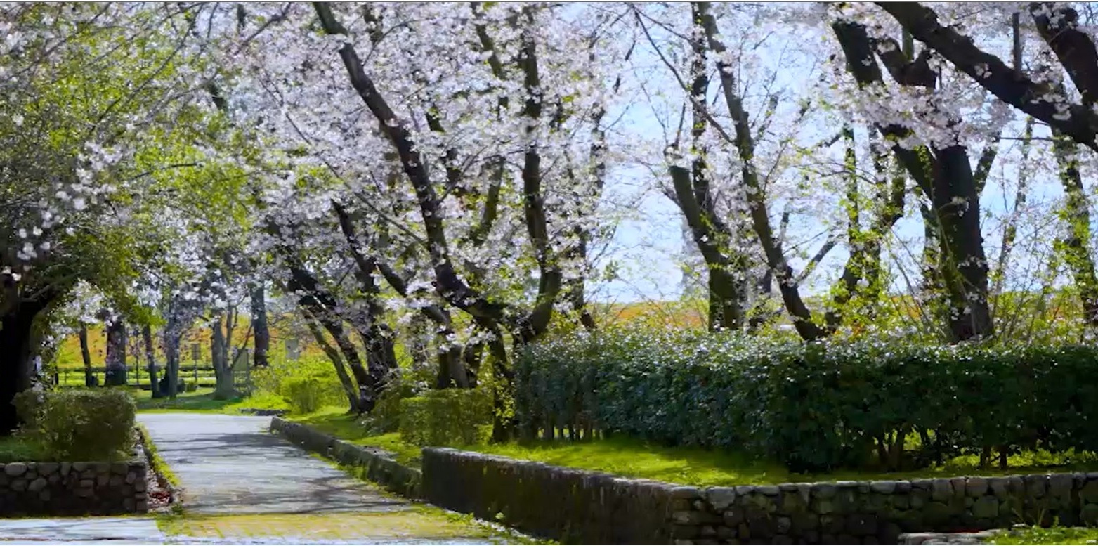 ファミリアーレ庄内緑地 コンセプト