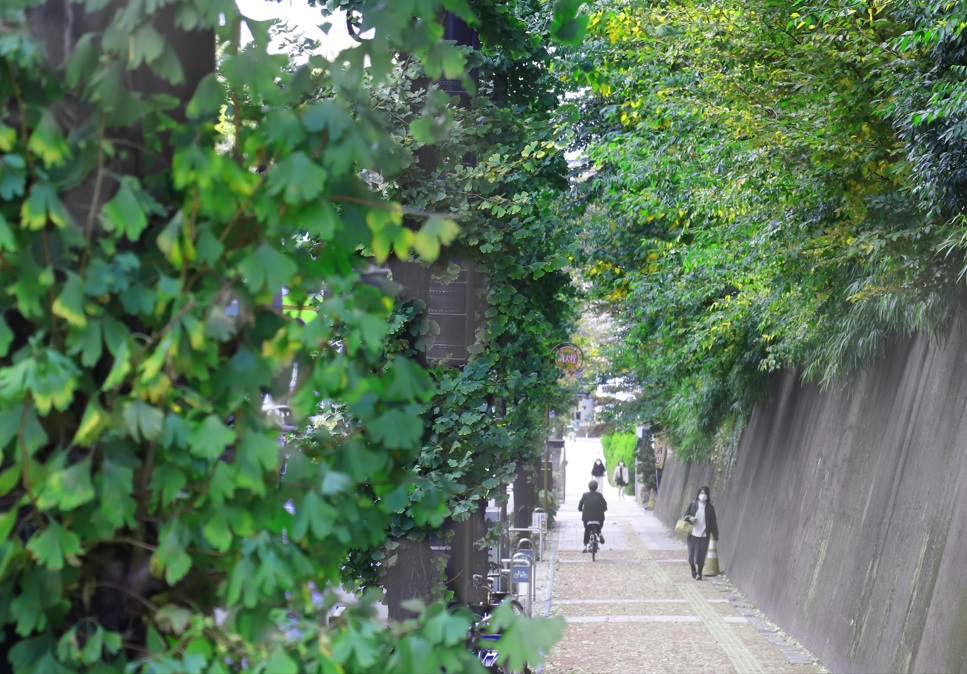 ガーデンハウス成増 豊かな生活利便に恵まれた街
