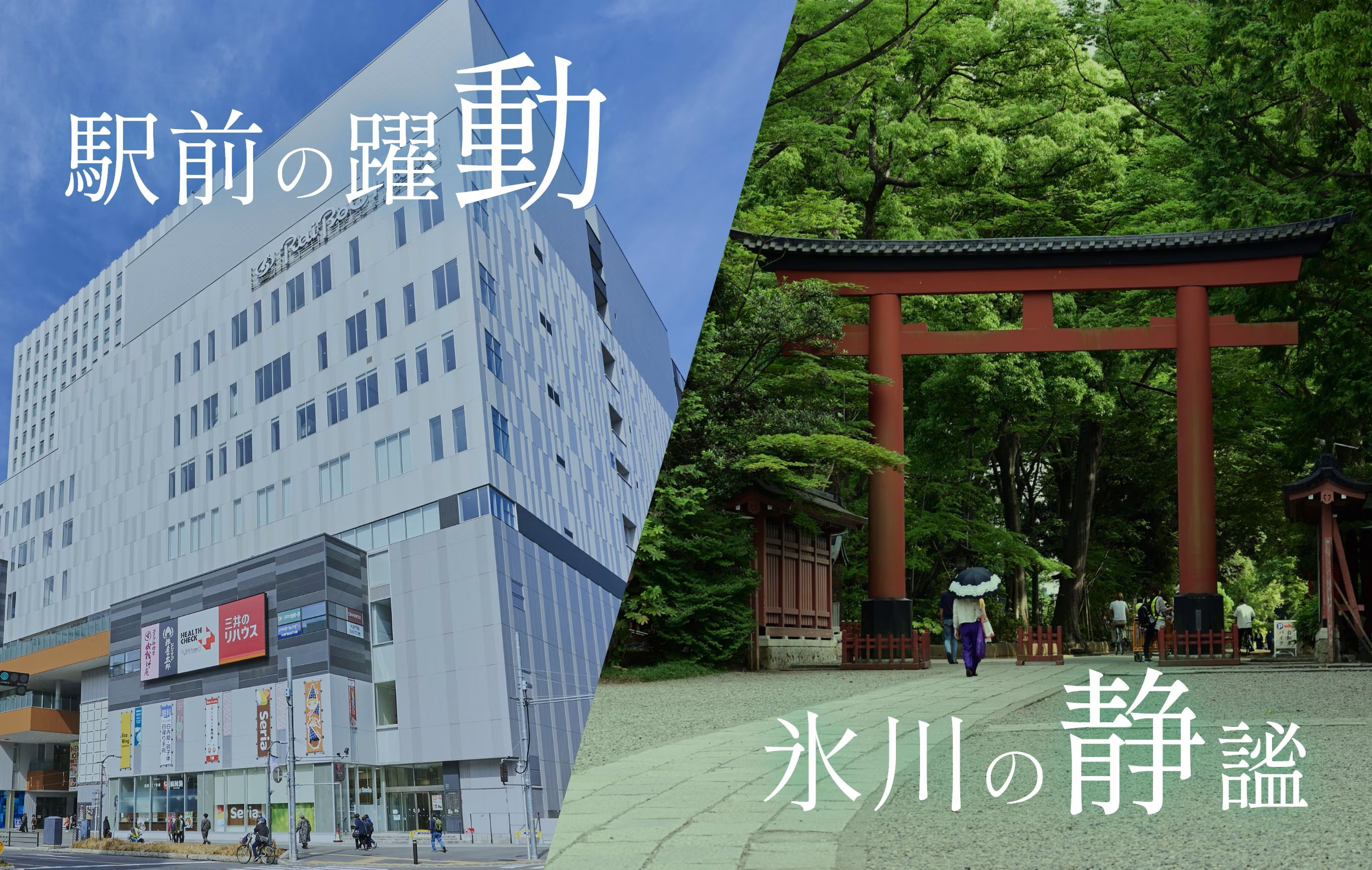 シティハウス大宮氷川 駅前の躍動 永川の静謐