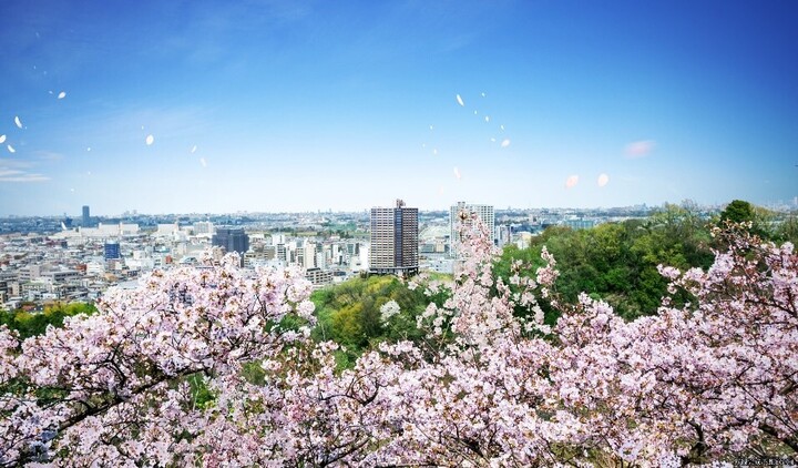 パークタワー向ヶ丘遊園 駅前でありながら、豊潤な自然を借景とする。