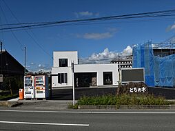 株式会社とちの木