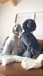 有限会社東陽ネクステート