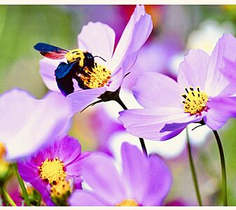 株式会社RECプラスの周辺地図