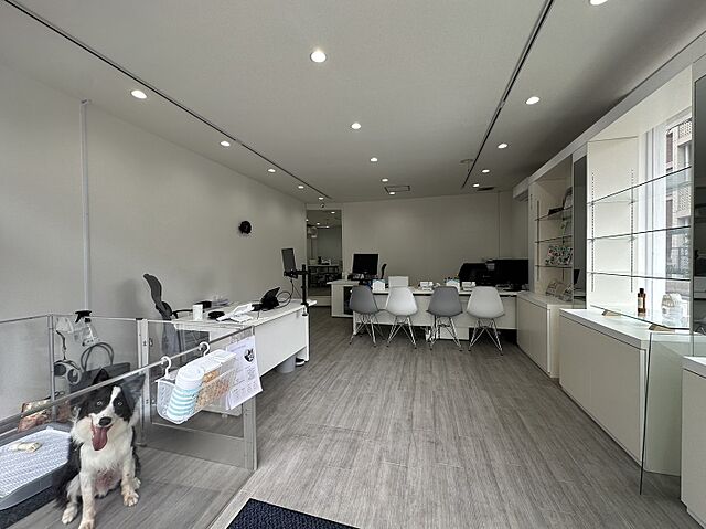 スタッフ