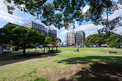 白川公園 約320m(徒歩4分)