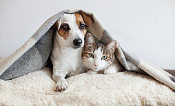 レーベン三河安城REPRENT 設備