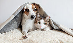 レーベン和光 THE GRANDE 設備