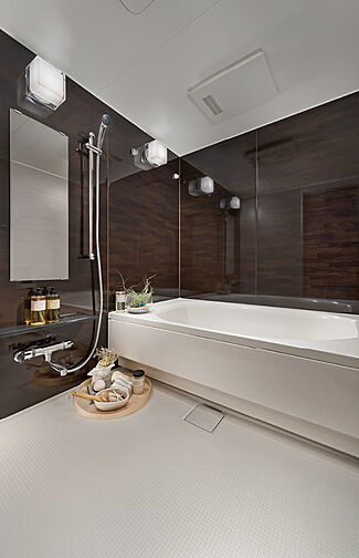 レーベン御宝町アルビオ・タワー 専有部