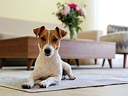 レーベン川越南大塚GENIX 設備