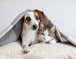 ネベル草加 Tiare 設備