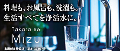 たからの水