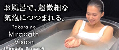 たからのミラバスビジョン