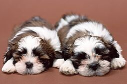 クレアホームズ富山白銀町グランビュー 設備