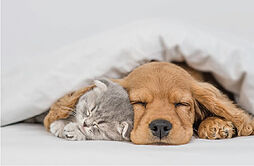 レーベン田端 CROSS EDGE 設備