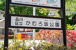 周辺環境