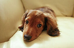 ザ サンズ熊本城公園 設備