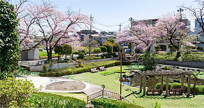 栗谷津公園 約50m（徒歩1分）