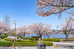 サーパスタワー水戸泉町 その他