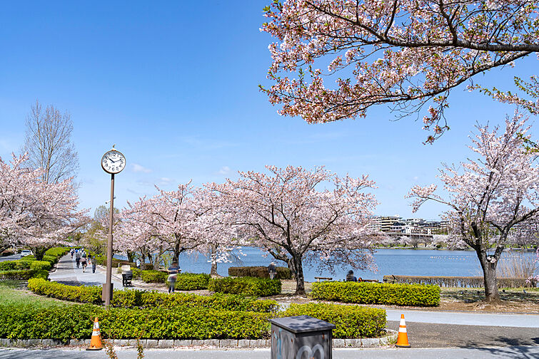 サーパスタワー水戸泉町 その他