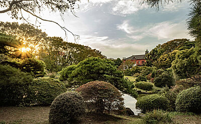 小石川植物園 約140m(徒歩2分)