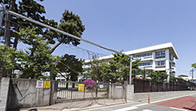 武蔵野市立第三小学校（通学区） 約910m（徒歩12分）