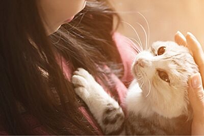ペット飼育可・足洗い場