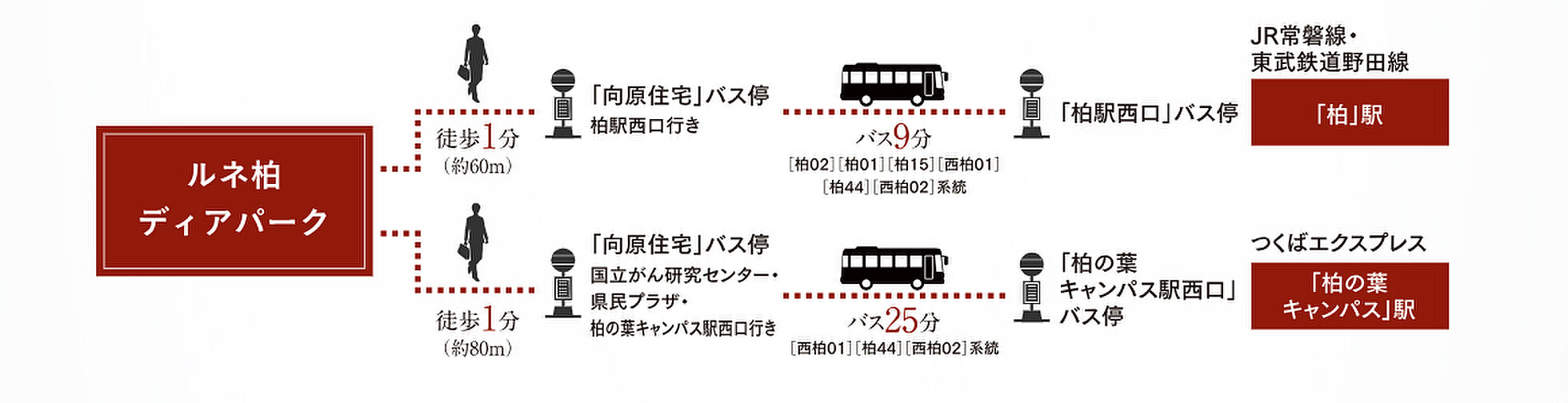 ルネ柏ディアパーク アクセス図