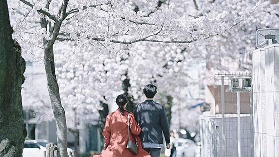 プレミスト藤が丘 その他