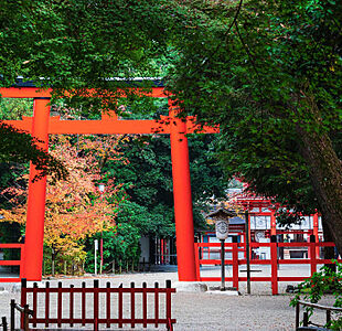 下鴨神社 ※提供写真 約1,560m(徒歩20分)