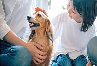 クレストシティ鎌倉大船サウス ペットと暮らせるマンション