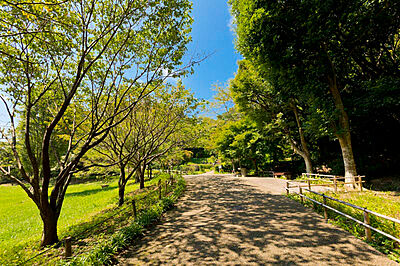 鎌倉中央公園 約1,060m（徒歩14分）
