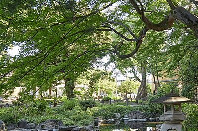 天沼弁天池公園 約650m(徒歩9分)