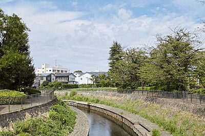 善福寺川緑地 約1,230m(徒歩16分)