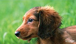 サンクレイドル塚口レジデンス 設備