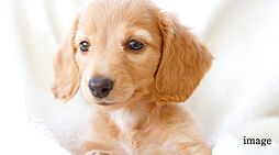 サンクレイドル西所沢ステーションウィズ 設備