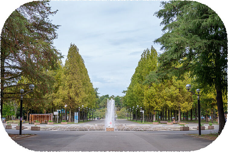 サンクレイドル鶴見緑地公園 その他