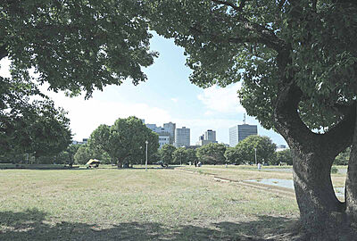難波宮跡公園 約820m（徒歩11分）