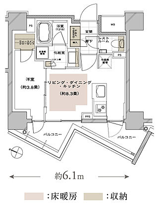 ディアナコート文京白山 間取り F