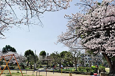 宮西公園 約640m(徒歩8分)