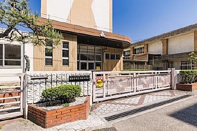 市立老松小学校 約260m(徒歩4分)