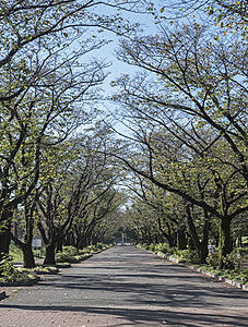 府中の森公園 約720m(徒歩9分)