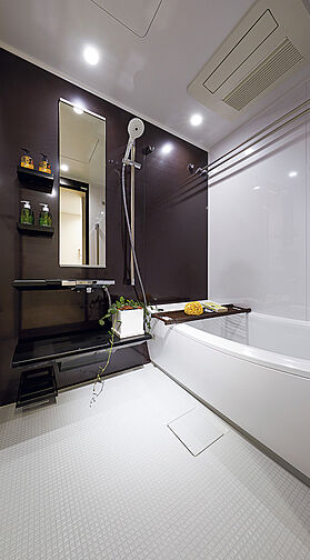 ローレルタワー堺筋本町 専有部