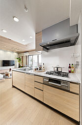 ローレルスクエア長原ザ・ランドマークス 専有部