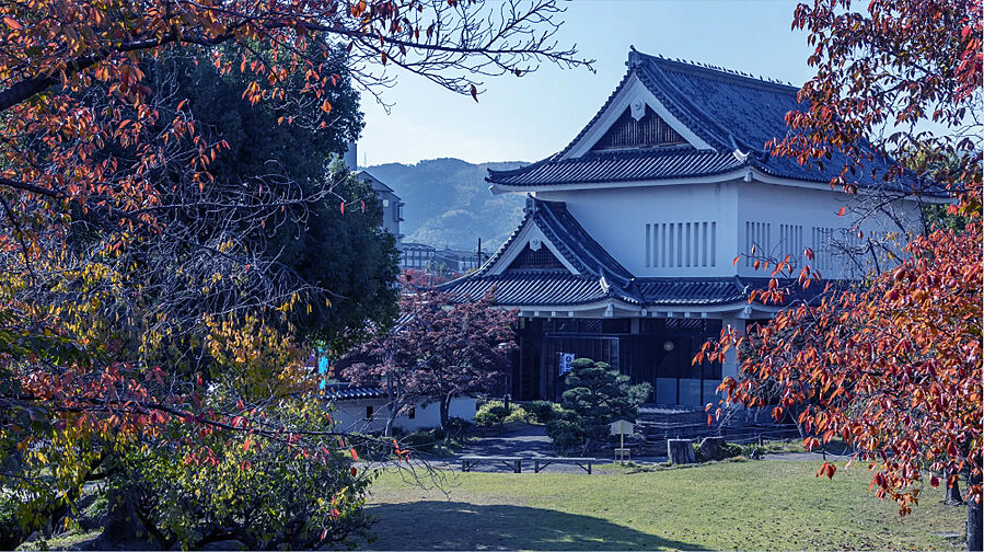 周辺環境