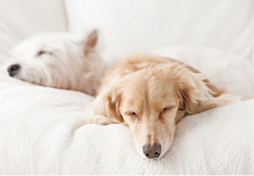 アルファステイツ水戸大町 設備