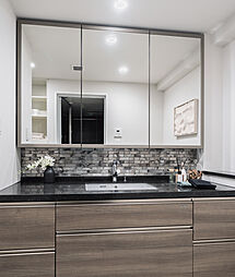 アルファ藤枝駅前ザ・タワー 専有部