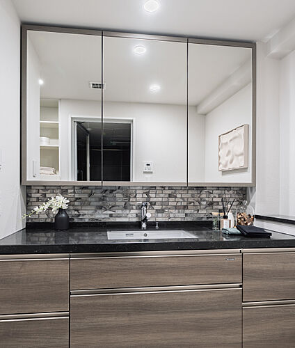 アルファ藤枝駅前ザ・タワー パウダールーム